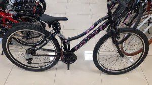 SPEED 262 26