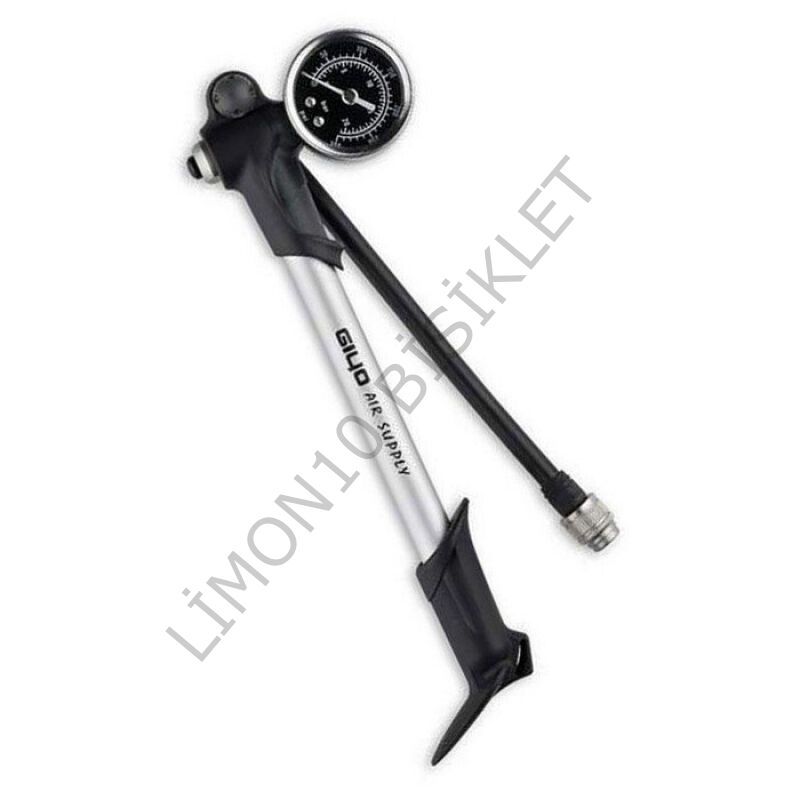 Giyo GS-02PT Amortisör Pompası