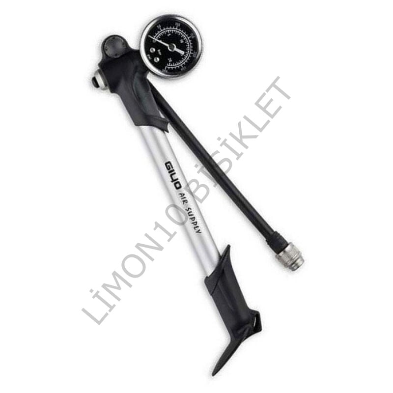Giyo GS-02PT Amortisör Pompası