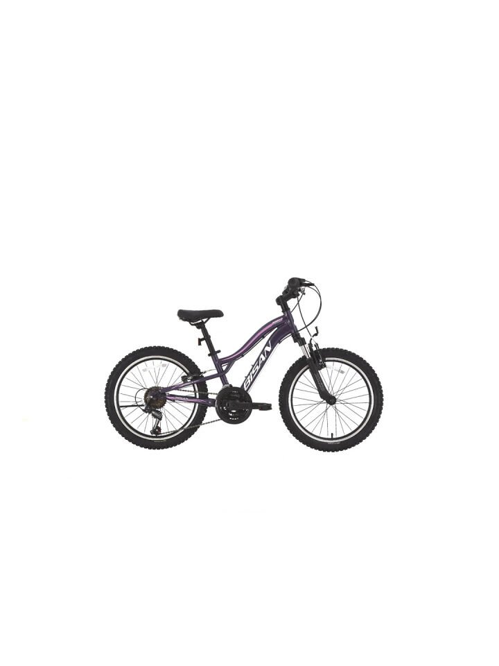 Gazelle V Bisan Çocuk Bisikleti 3x6 Vites 24 Jant