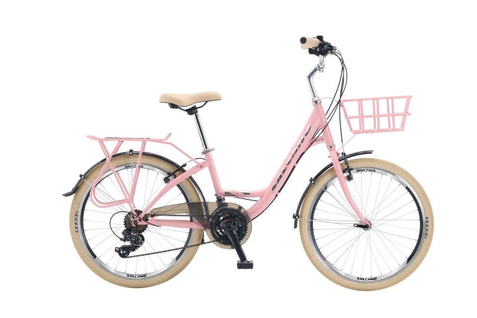 FLYER 24 JANT 21 VİTES