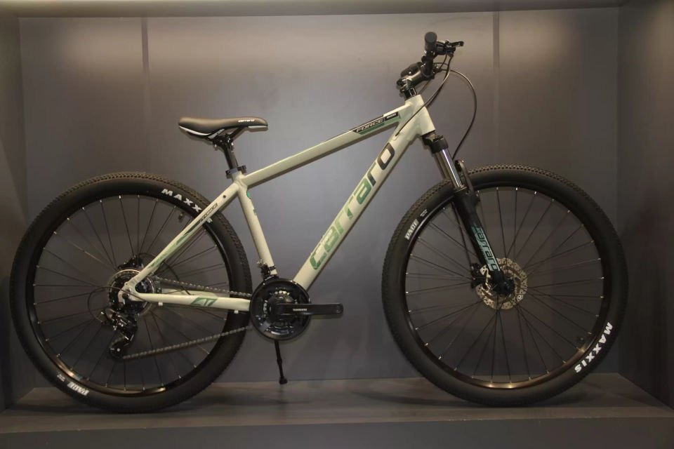 FORCE 920 29'' 21-V HD