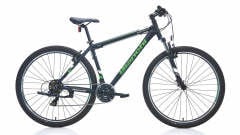 Aspid 29 29 Jant 21 Vites
