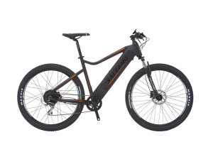 SALCANO CAPPADOCIA 2 ELEKTRİK DESTEKLİ BİSİKLET