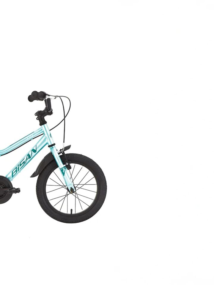 LİLY 16 JANT ÇOCUK BİSİKLETİ