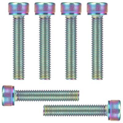 OILSLICK BOĞAZ KAPAK VİDASI 6 LI - M6X30