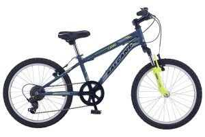 LION 20 V