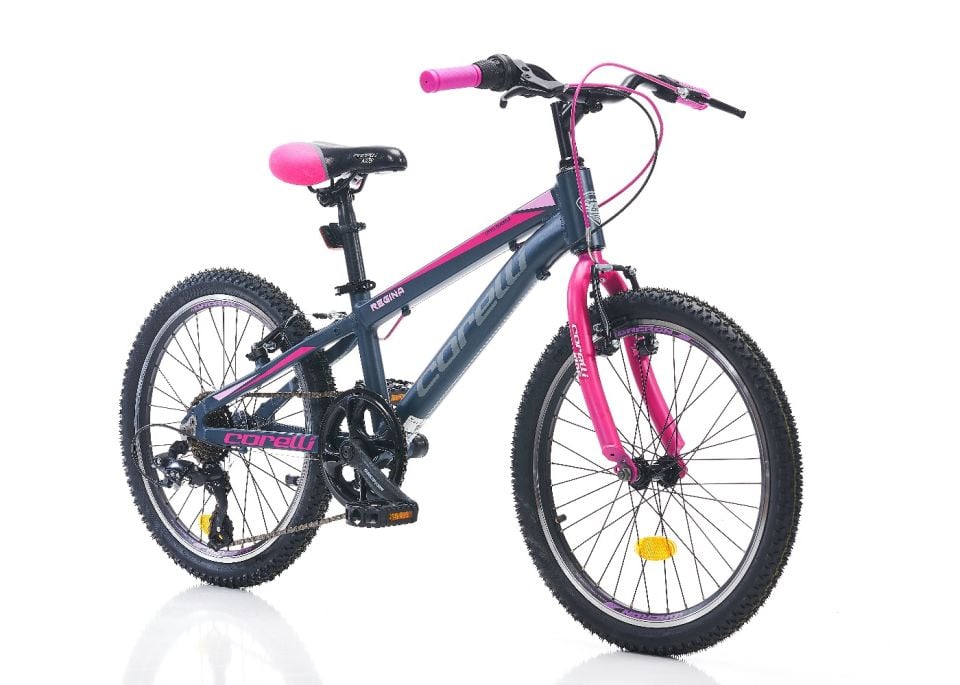 REGİNA 20 JANT V FREN ÇOCUK BİSİKLETİ K.MAVİ PEMBE
