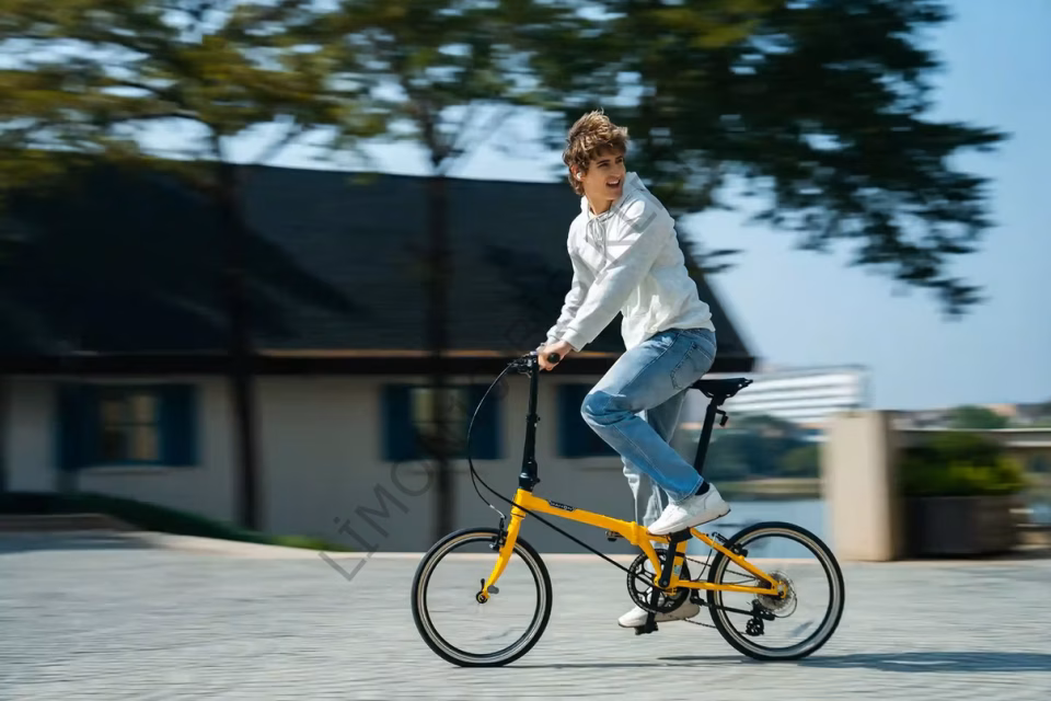 Dahon 2026 Boardwalk D8 20 Jant Katlanır Bisiklet YEŞİL